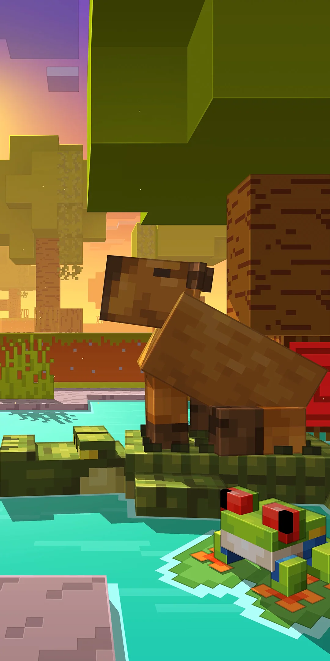 Animations